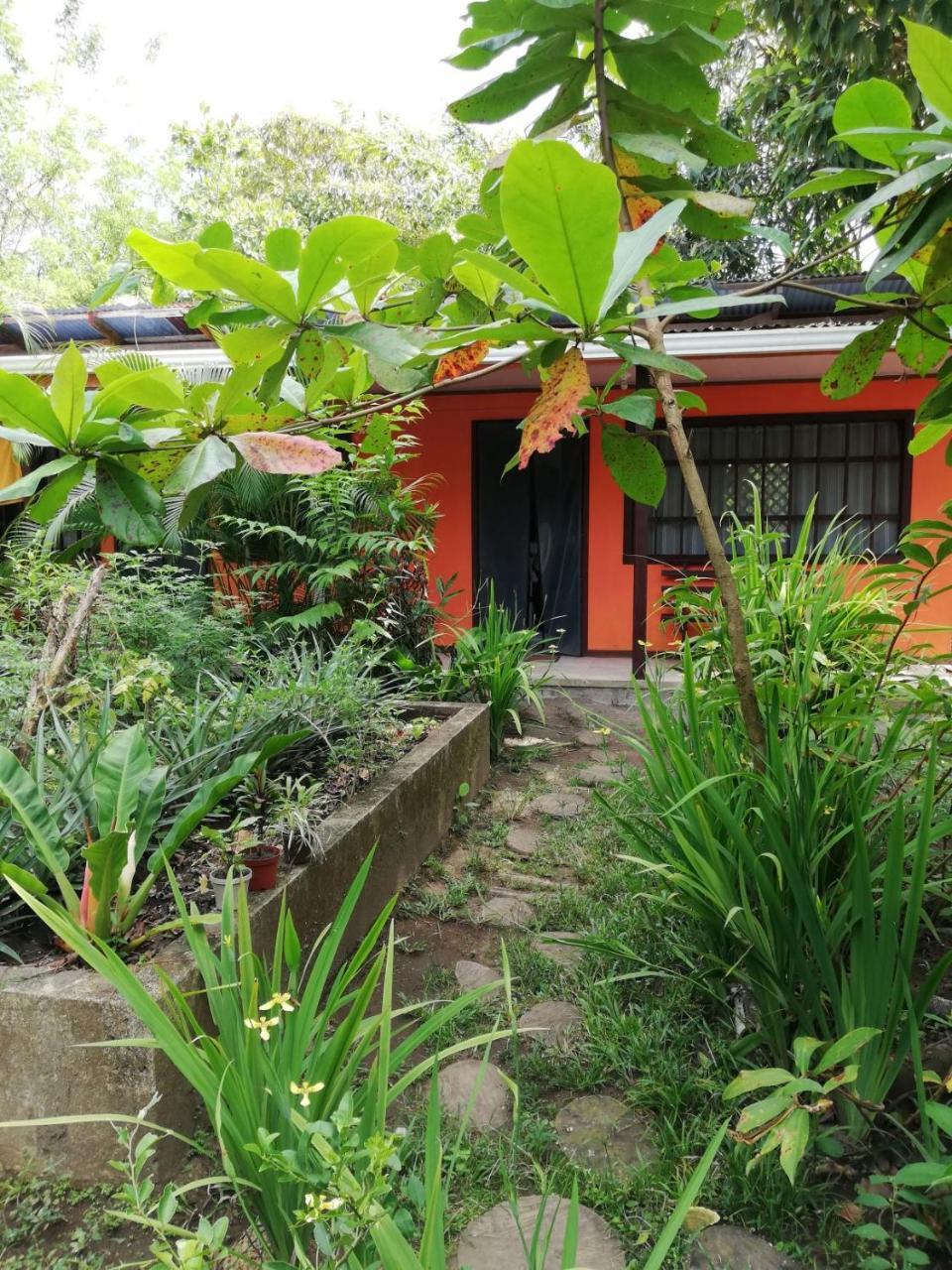 Aracari Garden Hostel Tortuguero Esterno foto