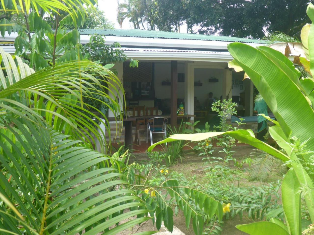 Aracari Garden Hostel Tortuguero Esterno foto