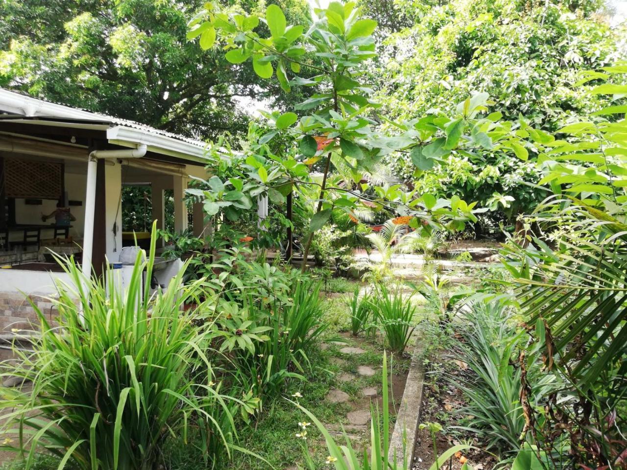 Aracari Garden Hostel Tortuguero Esterno foto