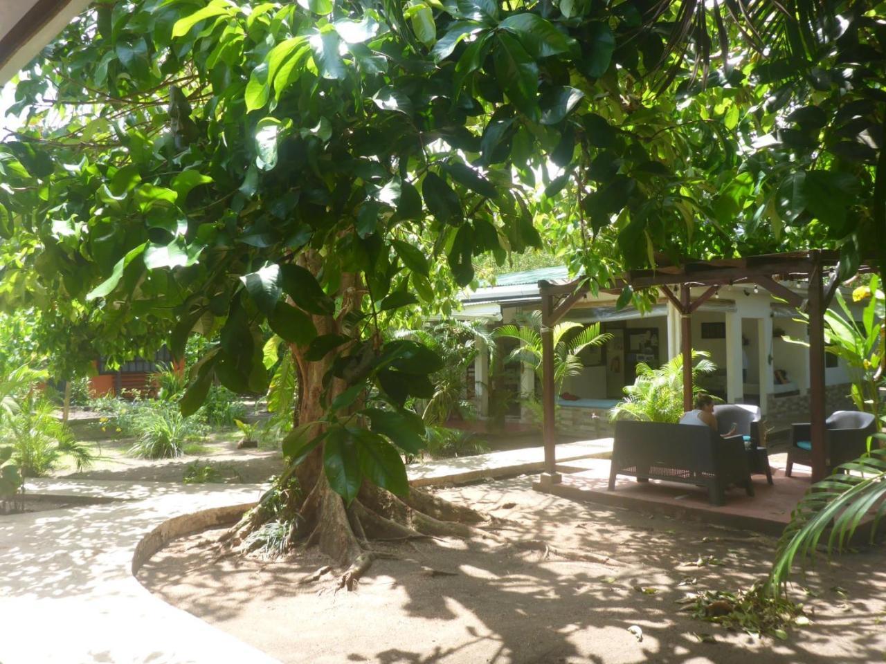 Aracari Garden Hostel Tortuguero Esterno foto