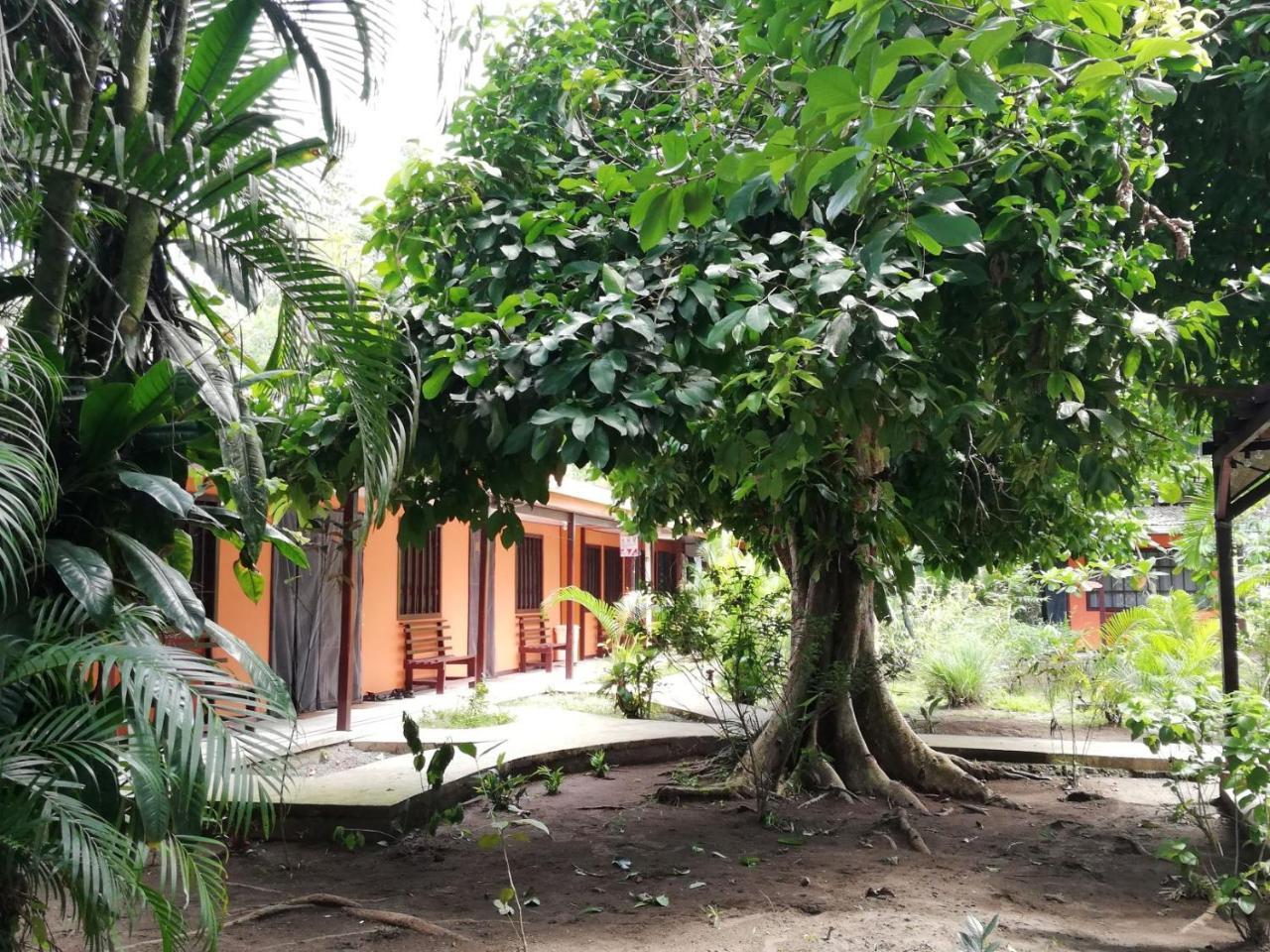 Aracari Garden Hostel Tortuguero Esterno foto