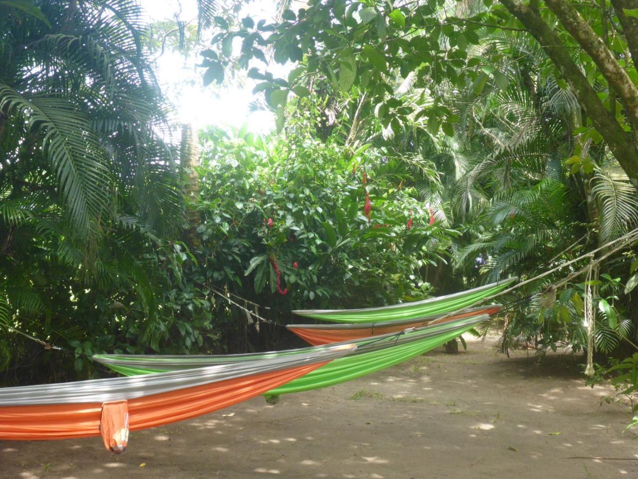 Aracari Garden Hostel Tortuguero Esterno foto